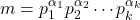 m = p_1^{\alpha_1} p_2^{\alpha_2} \cdots p_k^{\alpha_k}